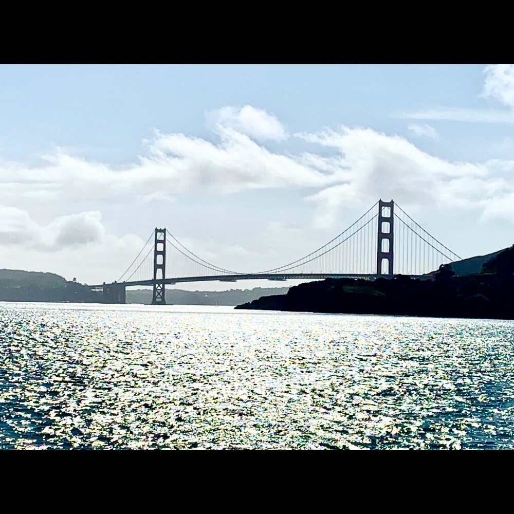 Meet your Posher, Calvin